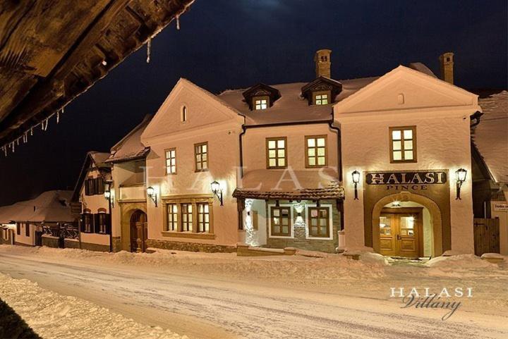 Halasi Pince Panzio Віллань Екстер'єр фото
